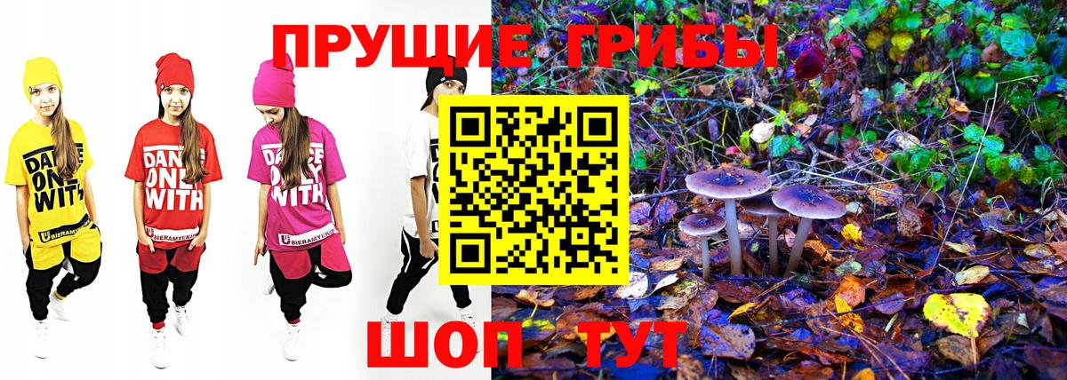 Озёры  Псилоцибиновые грибы мицелий  где можно купить наркотик  Псилоцибиновые грибы мицелий  Вход с VPN 