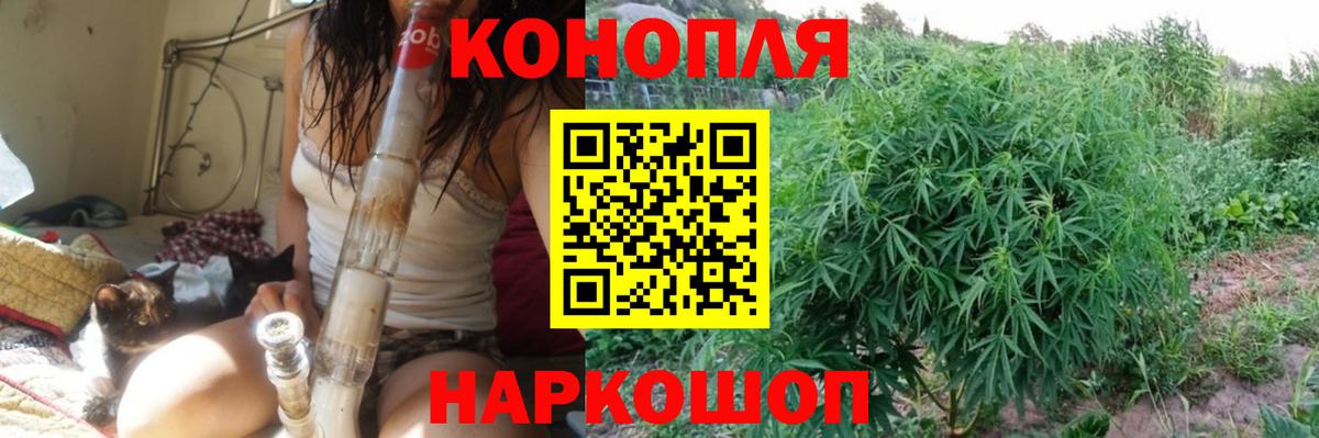 Каннабис OG Kush Озёры